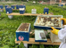 Bee Hive, National, Hive, Honey,NUC,Nucleus,Bee colony Beehive 14x12,Langstroth