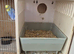 Breeding cages x 4