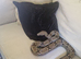 Rainbow Boa and 4ft viv
