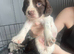 Stunning cocker spaniel puppies