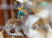 Male fluffy lionhead