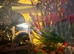 2 Fantails with Aquatic snails , tank , filter, air pump, light, food, frozen food and a lot more