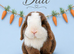 Chocolate & White Vm Mini Lop Doe