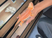 Red hypo bearded dragon