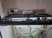4x4x2 glass terarium and baby cresties