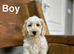 Rain beautiful boys and girl looking for a home