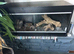 4ft black viv