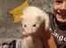 Male ferret