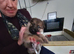 Full blooded German Shepherd puppies.