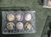 White jumbo and jumbo brown quails eggs