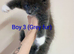 Beautiful male kitten looking for a new home!!