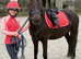 Exceptional New Forest Mare – Future Prospect