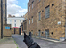 Female Black&Tan German Shepherd