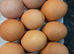 Fresh free-range eggs for sale.