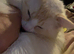 ZsaZsa needs a home
