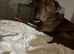 Name is Kimbo