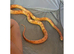 Corn snake with full set up