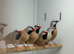 Grace finches