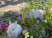 Bunnies ready for new home,Purebred Netherland Dwarf