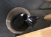 2 kittens ready to leave now
