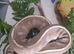 Mystic enchi