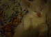 11 week old kitten