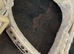 Coco pup beige flower harness and collar size S