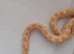 Male hognose