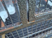 Double bird cage forsale