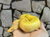 Albino Pin Royal Python at Birmingham Reptiles