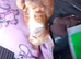 1 ginger female kitten