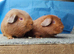 Beautiful bonded boys