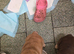 Rope french bull dog puppies