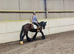 Super Safe Cob