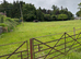 Grazing for horses/ponies