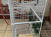 Bird cage (without tray) and pets cage