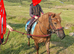 12.2 9 year old dartmoor hill pony