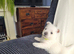 KC registered - Beautiful 2 girls and 2 boys
