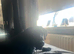 labrador puppy for sale