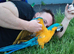 BLUE & GOLD MACAW