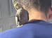 Semi tame 4 month old cockatiels