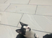 Boy kitten