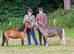 British Miniature Filly for sale