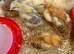 Chicks for sale