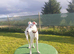 PET HOME ONLY, DEAF DOG