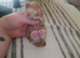 Last ginger girl kitten left