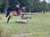 Beautiful Class 1 registered Connemara Mare - 14.1hh - 8 yro
