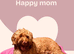Amazing ️Australian Labradoodles