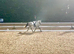More Than Just a Livery Yard