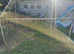 Animal enclosure